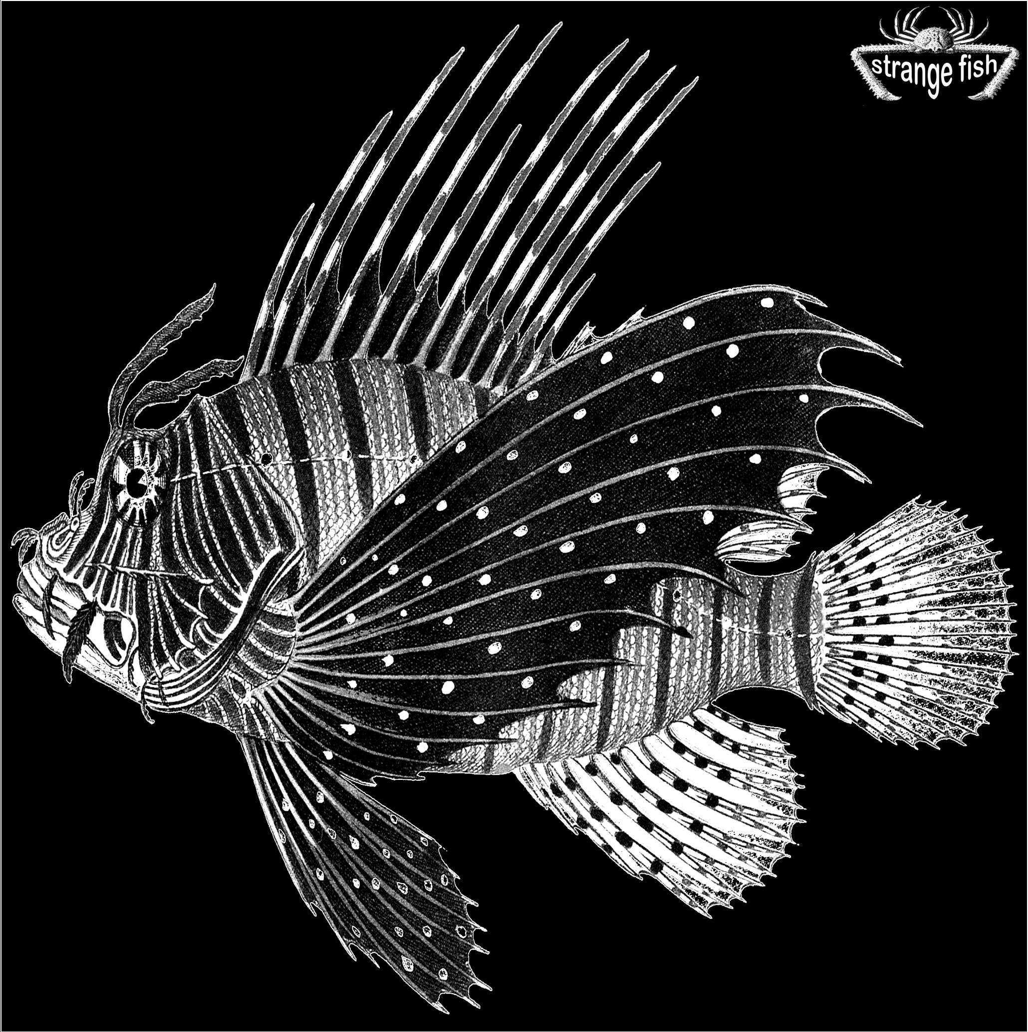 it's strange, it's fishy, it's....